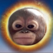 Mondhi
