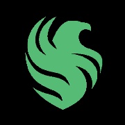 纯长征
