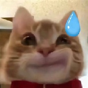 电脑玩家雾敛