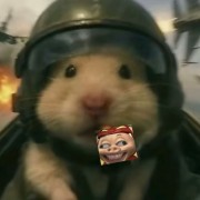 杨Xx杨