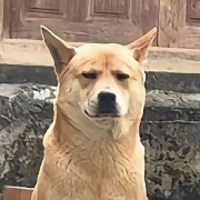 你的笑容我记得