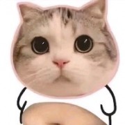 达芬奇与我