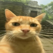 新西洋