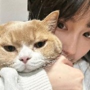 辞邜a