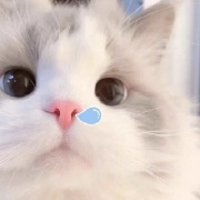 大气运之子ouo