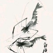 五月的青春