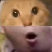 木乃伊的储气罐