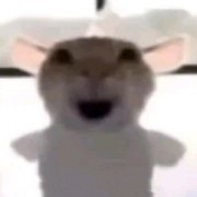 咋个办