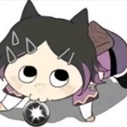 繁星知落叶