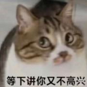 转生成为八重官司