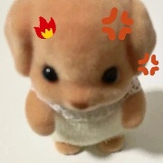 霹雳紫裤衩