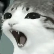 过往不留