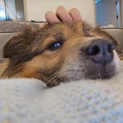 SIRLLS