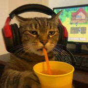 K1njaz