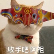 天天来掉分